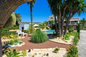 Las Palmeras - Image 2