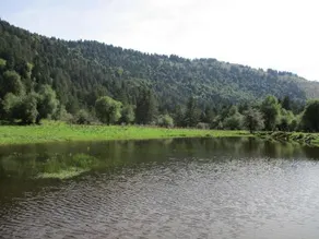 Ksenonas Biktoria - Image 3