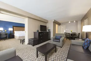 Holiday Inn Chicago/Elk Grove - Image 2