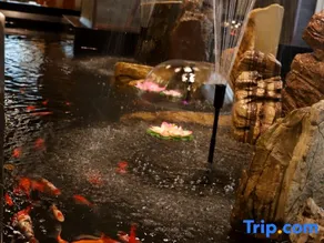 Baishan China Hotel - Image 2