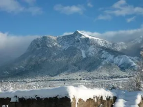 Gelsomino - Image 3