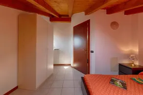 Mimosa - Image 5