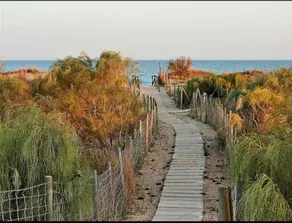 La Antilla, walk to the beach!. - Image 2