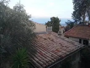 Petite Fleur D'azur - Image 5