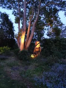 Romanz In The Valley - Image 3