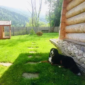 Apartament Babia GÓra - Image 3