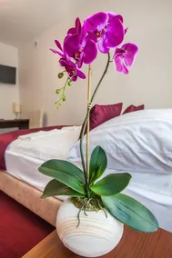 Hostel Zambrow - Image 5