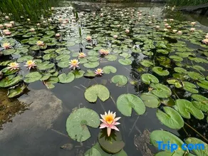Watermark Promenade · Riverside Charm & Peak View Vacation Villa (Lijiang River Branch) - Image 4