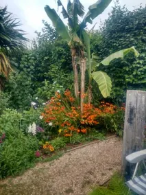 Tilly Cottage - Image 2