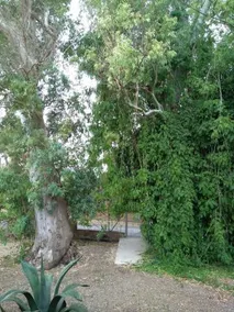 Casa sorrapa - Image 2