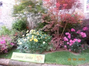 La Magnolia B&B - Image 3