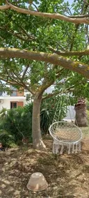 Casa Vacanze Dei Fenicotteri - Image 2