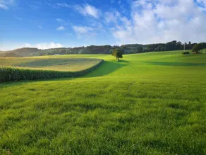 Attraktivt bondehus i det sydlige Limburg med terrasse - Image 3