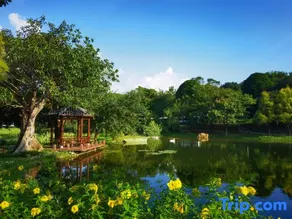 Liyuan Villa - Image 5