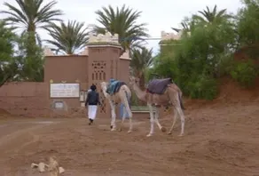Oasis Mille et Une Nuits - Image 2