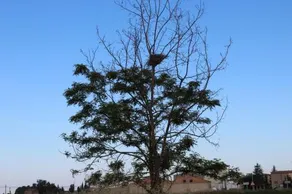 Ca La Providència - Image 3