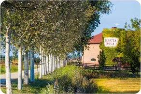 Tenuta Isola - Image 5