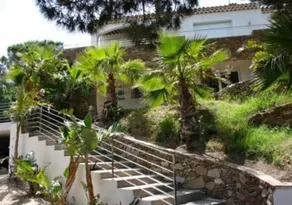 California - Image 3