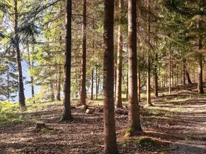 6 Person Holiday Home in Nykvarn-by Traum - Image 3