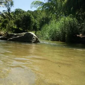 Repousada Sana - Image 4
