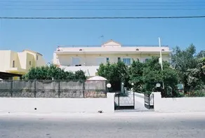 Lemon Trees - Image 1