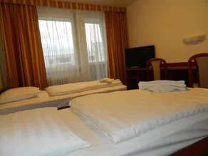 Hotel Nivy - Image 3