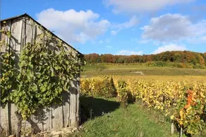 Gite du bas du cru - Image 2