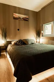 Black Velvet Apartman - Image 4