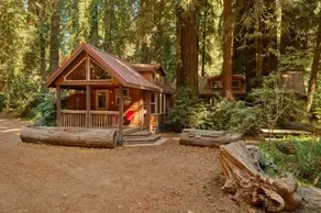 Big Sur Campground And Cabins - Image 2