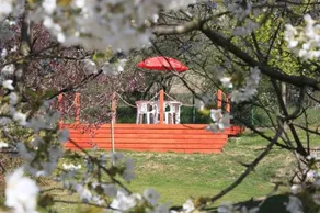 IdyllicPrague Cherry Tree Cottage - Image 3