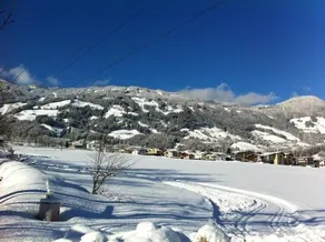 Landhaus Zillertal - Image 5