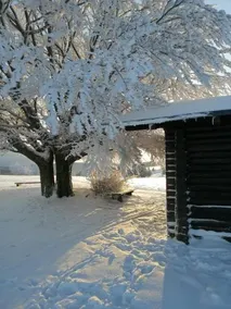 Am Tränkbachtal - Image 2