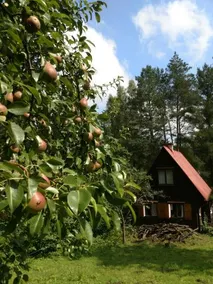 Domek Letniskowy Woryty - Image 5