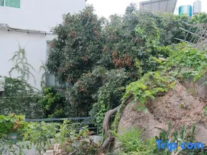Tiankonghaijing  Guesthouse - Image 2