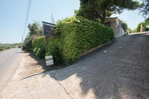 Natasa - Image 2
