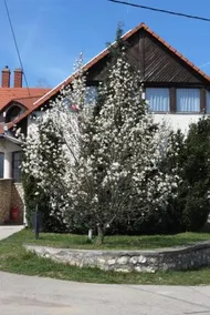 TITI House - Image 4
