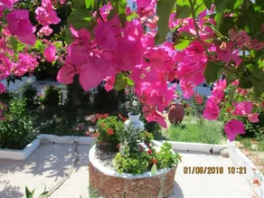 Tassos Apartments - Image 4