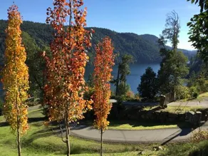Olympic View - Image 2