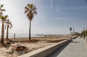 Travel Habitat Playa Almadraba Benicassim - Image 3