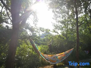 Yufangting Homestay - Image 5
