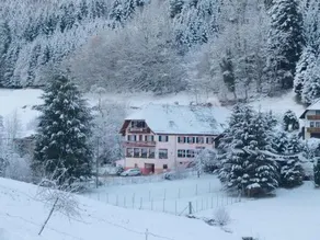 Gasthaus Schwert - Image 4