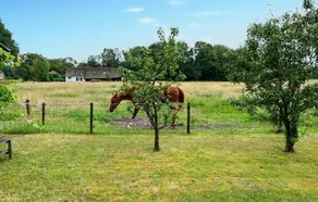 Holiday Home In De Moer - Image 5