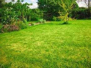 The Well Meadow B&B - Image 3