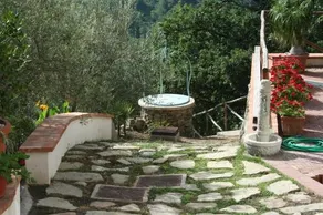 AL TRIPICIANO - Image 4