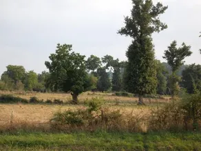 La Grange Delhoume - Image 4