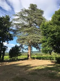 L'Annexe du Château - Image 4