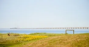 Nyborg Strandcamping - Image 3