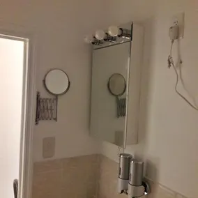 Studio and 1 Bedroom Apartments - Bronx - Image 4
