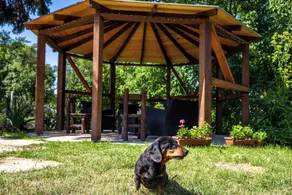 Nora Guest House 2BR & Garden - Happy Rentals - Image 2