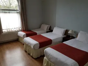 Forest View Hotel - Image 3